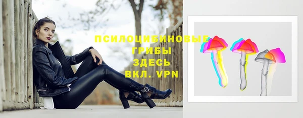 jwh Саяногорск